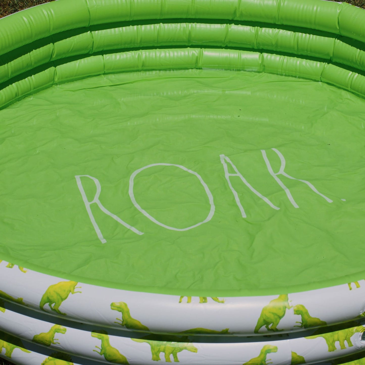 Mini Pool with Dinosaurs