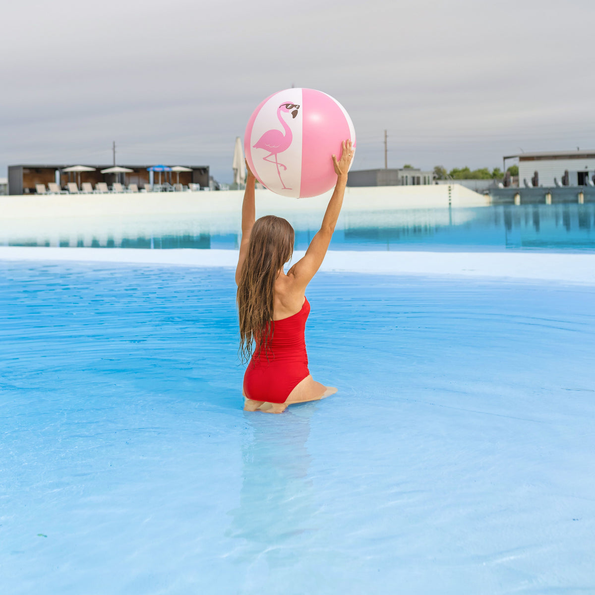 Flamingo Beach Ball