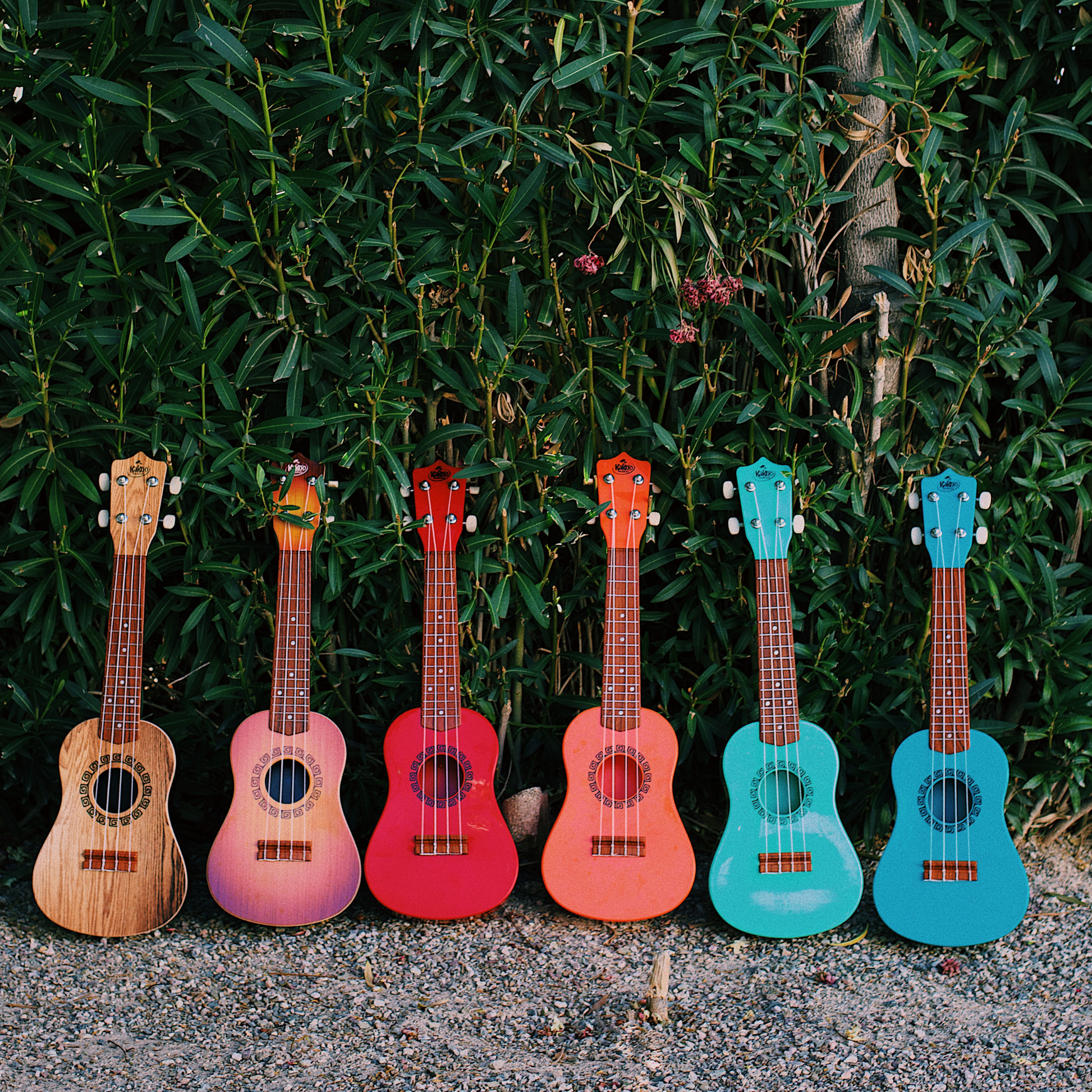 Ukelele o on sale ukulele rae