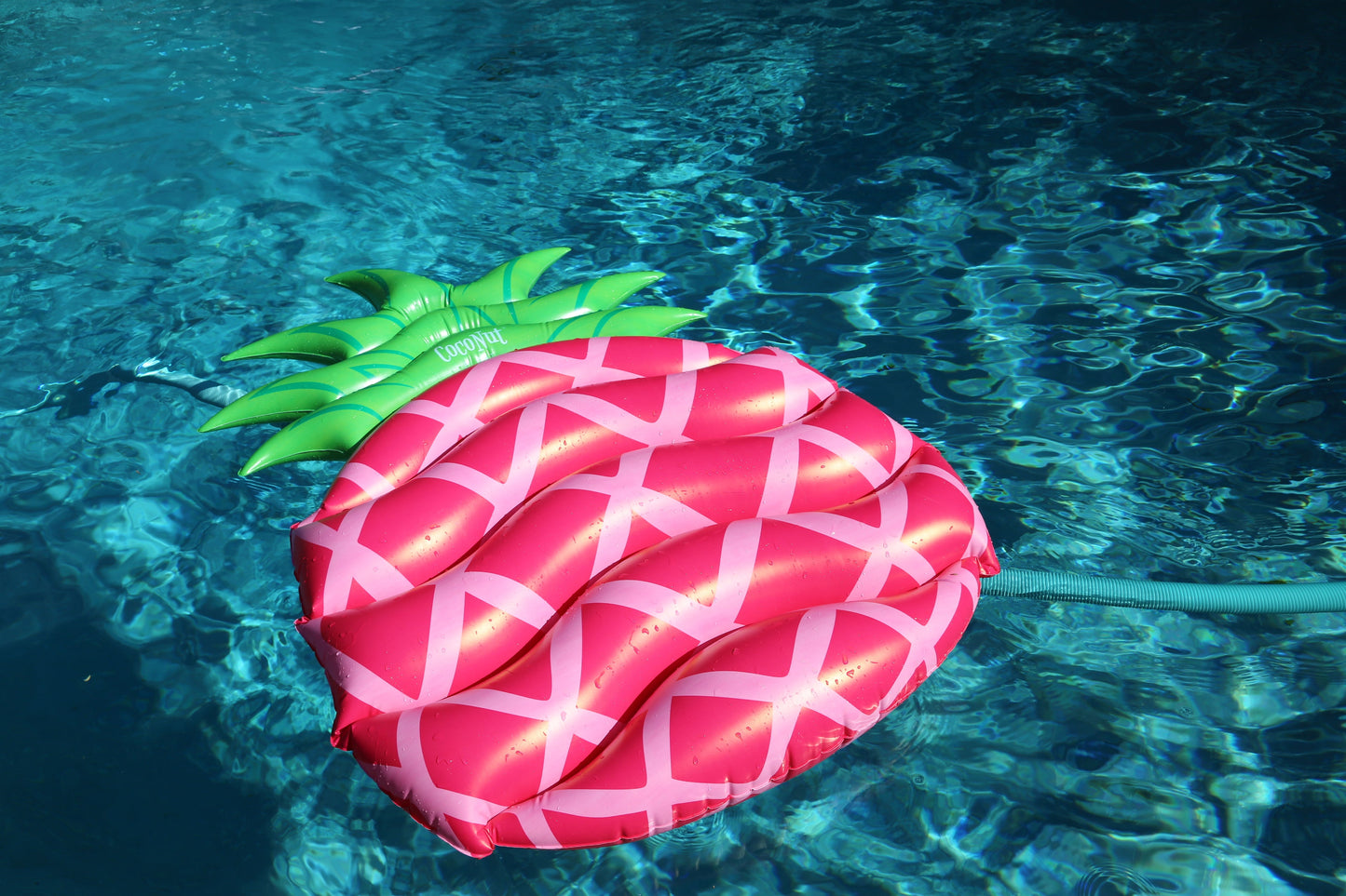 Sweet Pink Pineapple Pool Float