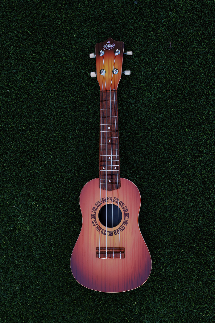 KaKo'o Ukulele